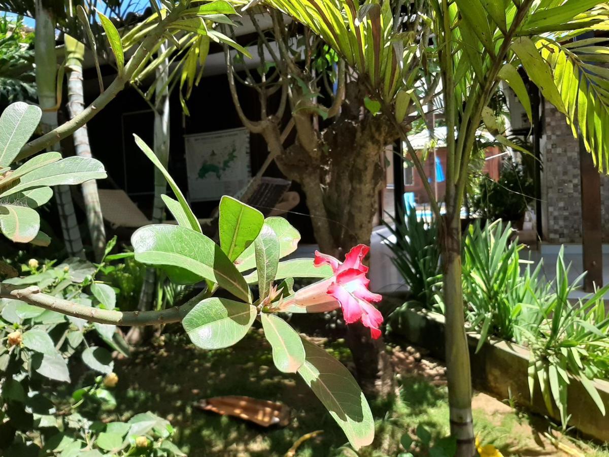 Pousada Das Flores Fernando de Noronha Eksteriør billede